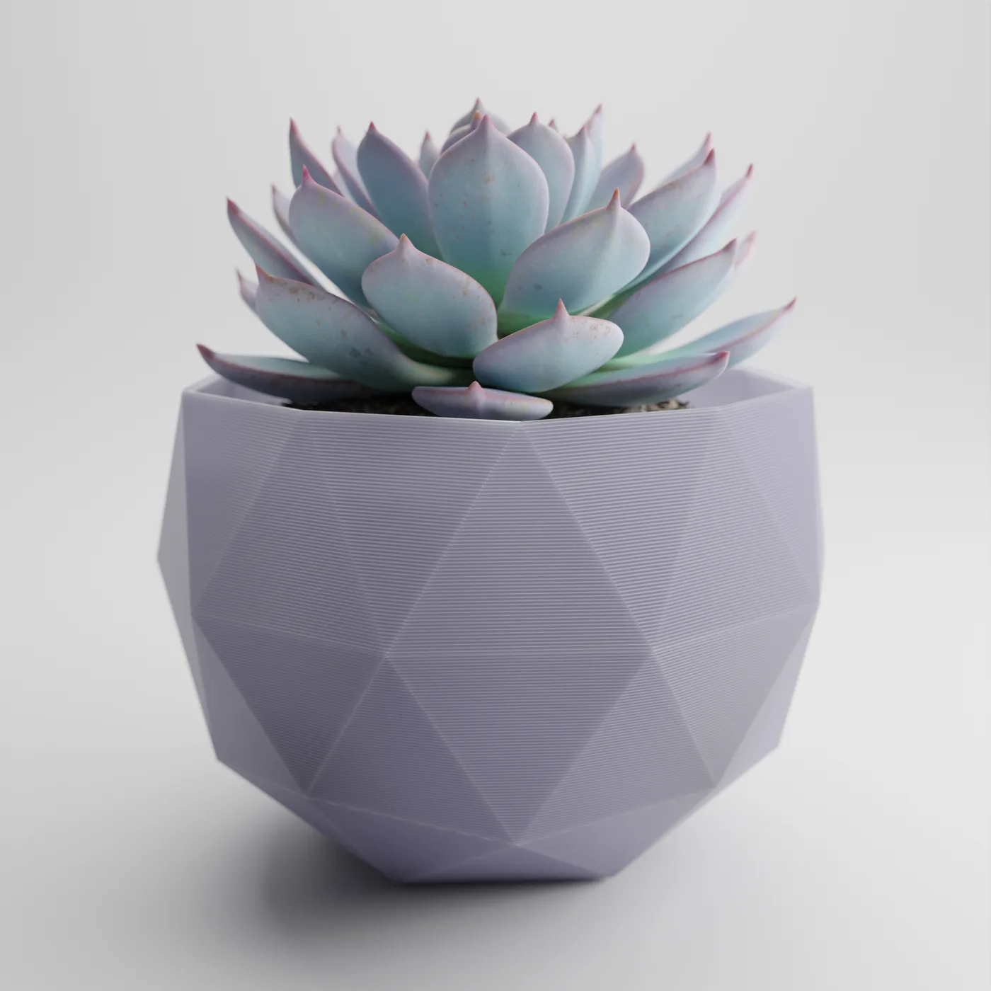 Geometric Planter