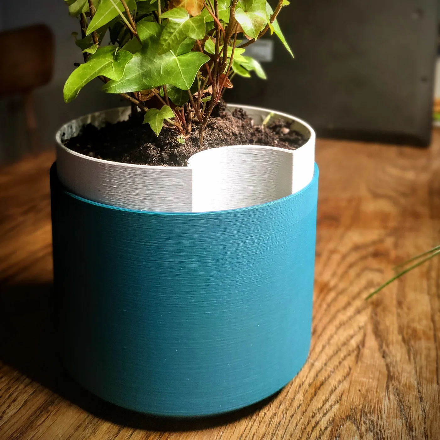 Self-Watering Planter